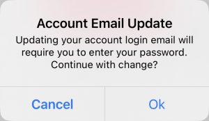 message you get when updating email